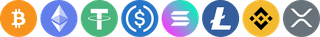 Distinctive algorithmic trading features of Liska Kapiton in modern layout